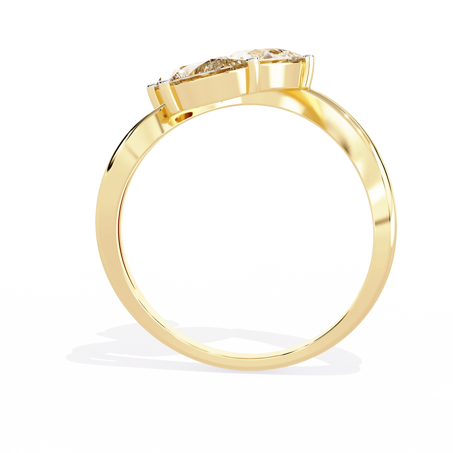 Liora- Modern Petal-Inspired Design