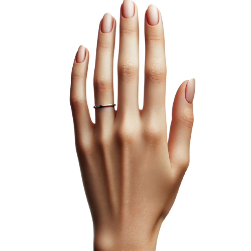 Hand Model