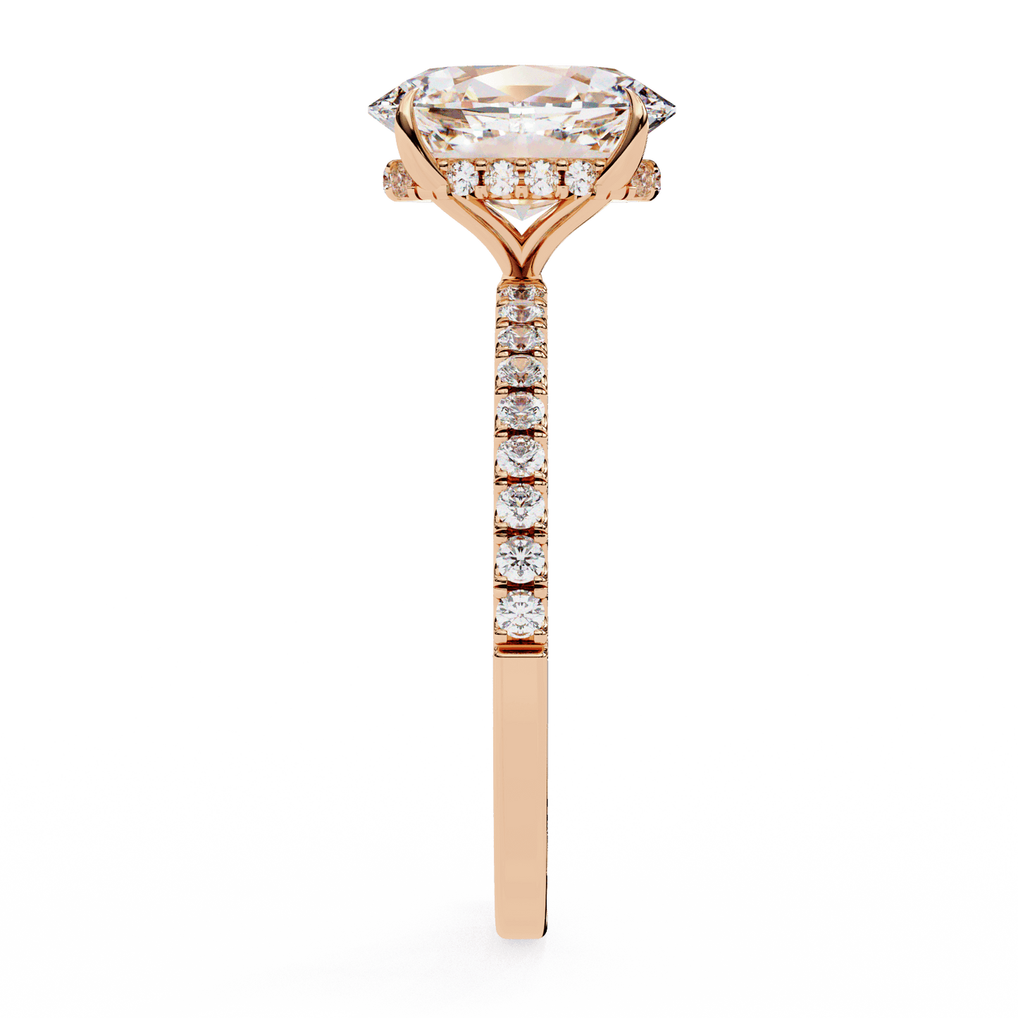 Rana