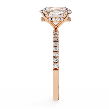 Rana