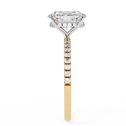 Rana